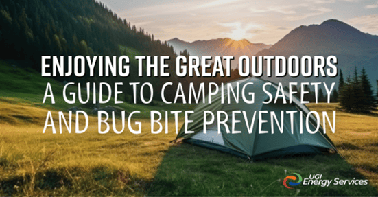 Camping and Bug Safety