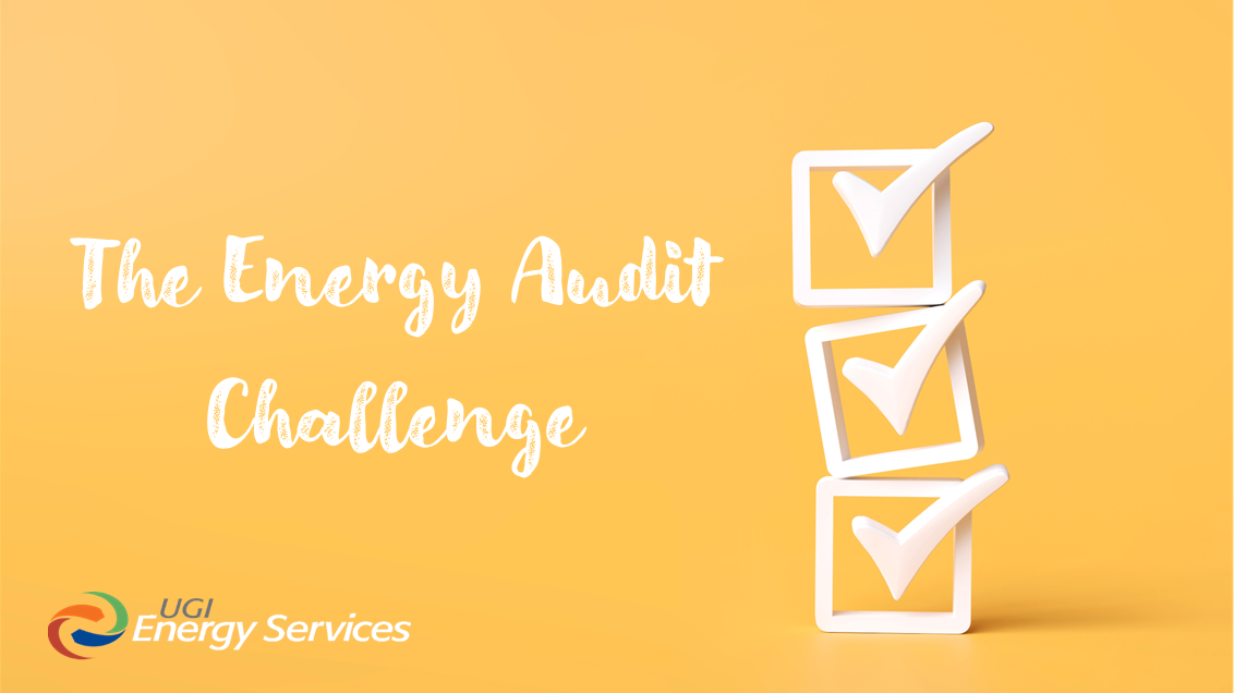 The Energy Audit Challenge