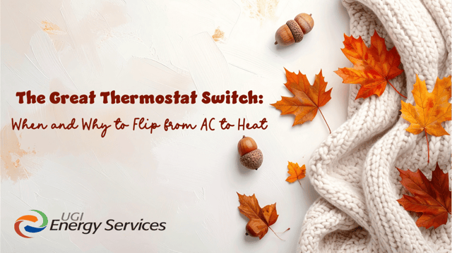 Thermostat Switch